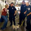 UPDATE: Woman Says Misogynistic Cop Arrested Her, Punched Her, Grabbed Breasts for Carrying Pug in Subway
